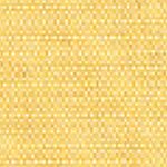 Momentum Ace Grade 2