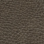 Brisa Distressed Buckskin