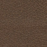 Brisa Distressed Bridle