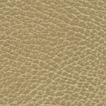 Brisa Distressed Buckskin