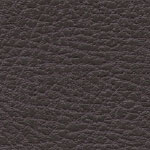 Brisa Distressed Currant