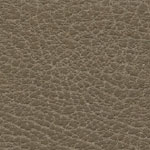 Brisa Distressed Moccasin