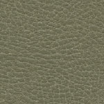 Brisa Distressed Prairie
