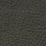 Brisa Distressed Steerhide