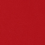 Color Guard American Beauty