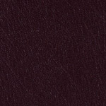 Color Guard Black Plum