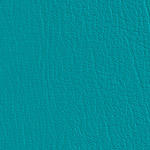 Color Guard Blue Nile