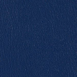 Color Guard Blueberry