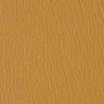 Color Guard Camelback