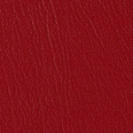 Color Guard Candy Apple