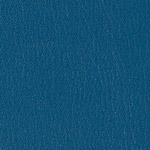 Color Guard Colonial Blue