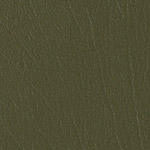 Color Guard Everglade