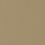 Color Guard Green Tea