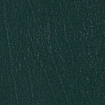 Color Guard Hunter Green