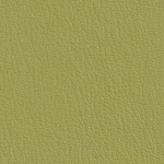 Color Guard Leap Frog