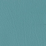 Color Guard Light Teal