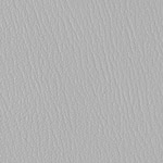 Color Guard Lite Gray