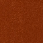 Color Guard Manzanita