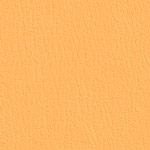 Color Guard Marigold