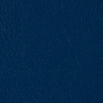 Color Guard Midnight Blue