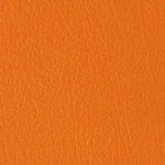 Color Guard Nasturtium