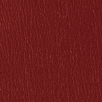 Color Guard New Burgundy