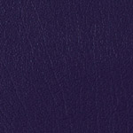 Color Guard New Purple