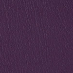 Color Guard Purple Iris