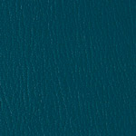 Color Guard Raintree