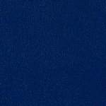 Color Guard Regal Blue