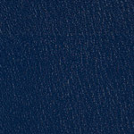 Color Guard Royal Blue