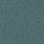 Color Guard Sea Grass