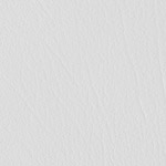 Color Guard Snow White