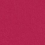 Color Guard Very Berry