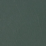 Color Guard Vizcaya Palm