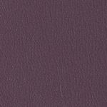 Color Guard Wood Violet