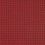 Momentum Expo Grade 1