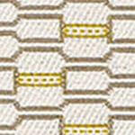 Momentum Habit Grade 3