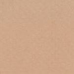 Momentum Insight Grade 1