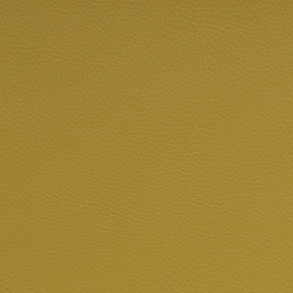 Nassimi Classic Daffodil