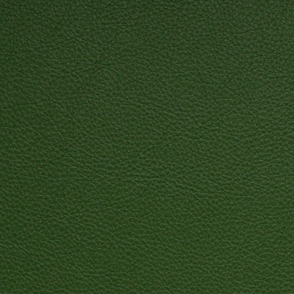 Nassimi Classic Fern