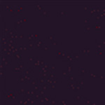 Patriot Plus II Aubergine