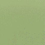 Patriot Plus II Granny Smith