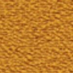 Momentum Propensity Grade 3