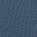 Serengeti French Blue