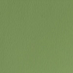 Spirit Millennium Alpine