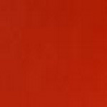 Spirit Millennium-American Beauty