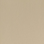 Spirit Millennium Bone