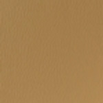 Spirit Millennium Camel