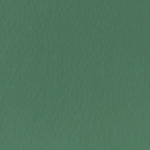 Spirit Millennium China Green